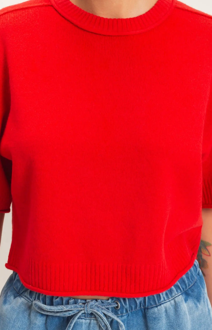 Seam Detail Short Sleeve Knit Top